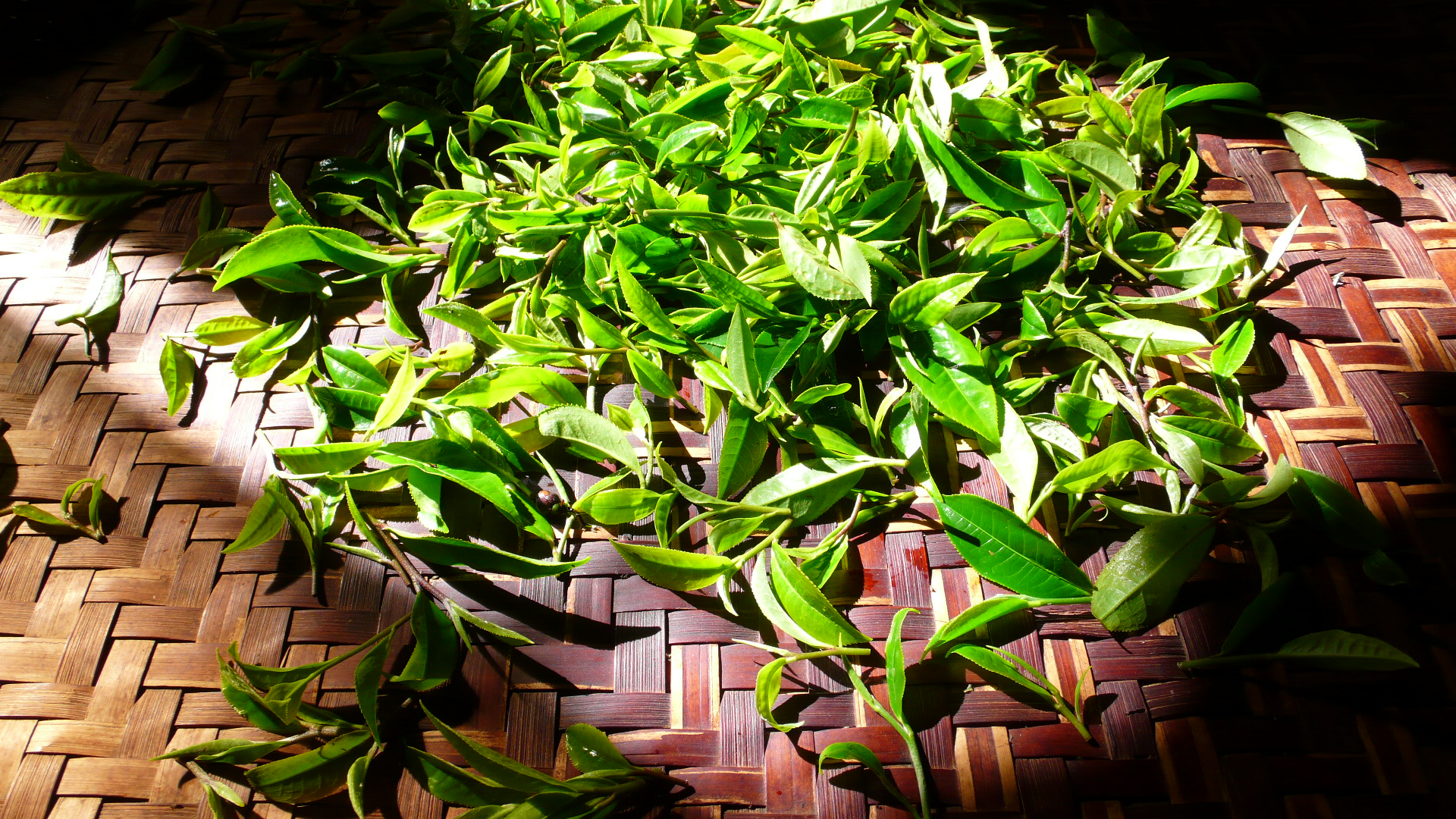 328726835 856872052066234 881461686811307834 n